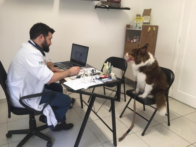 endereço de clínica veterinária Morumbi