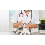 cirurgia-veterinaria-cirurgia-hernia-veterinaria-cirurgia-veterinaria-24-hrs-jaguare