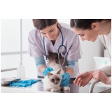 clinicas-veterinaria-clinica-veterinaria-cardiologia-clinica-veterinaria-ortopedia-alto-da-lapa